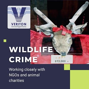 Wildlife Crime