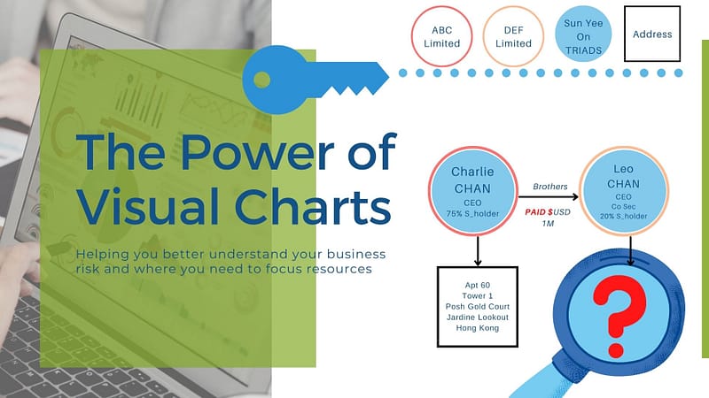 LINK CHARTING | Analysis experts helping global clients gain a full picture